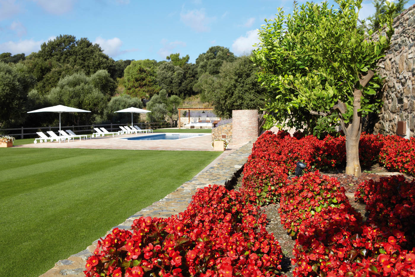 Landscaped gardens look good all seasons